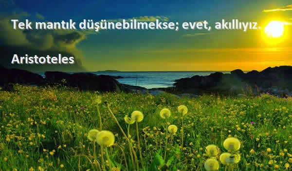 aristoteles