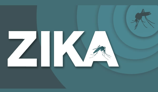 zika virüsü nedir?