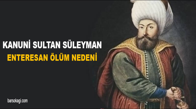 Kanuni Sultan Süleyman Ölüm Nedeni