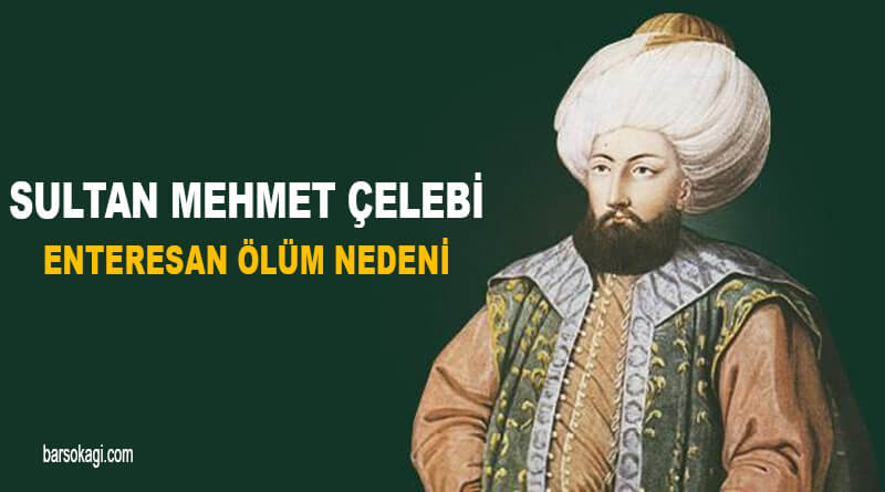 Sultan Mehmet Çelebi Ölüm Nedeni