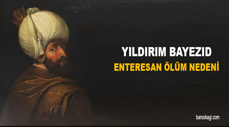 Yıldırım Bayezid Ölüm Nedeni